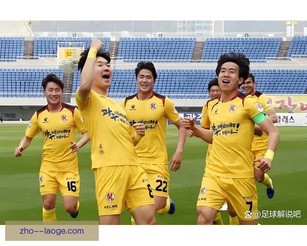 光州FC升班马黑马姿态挺进亚冠 成为韩国足球新兴力量